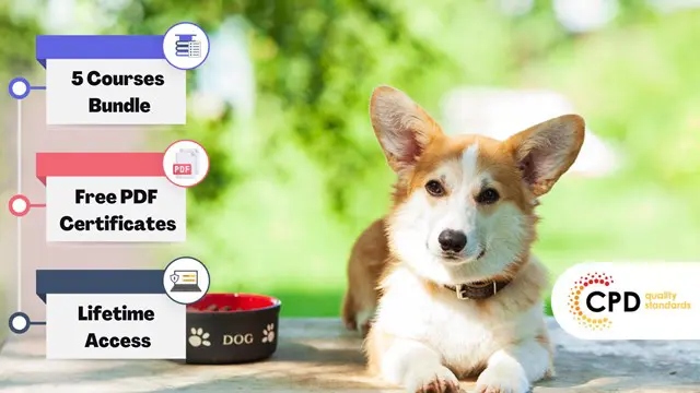 Animal Care & Psychology: Animal Nutrition, Pet First Aid & Dog Training - CPD Certified