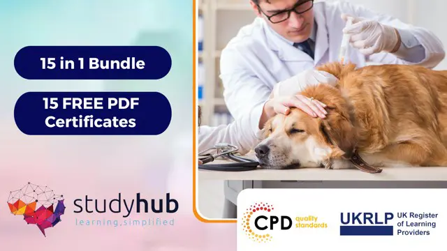 Veterinary Assistant Diploma: Vet Nursing & Animal Care Bundle - CPD Certified