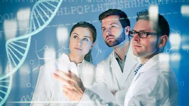 Medical Secretary Mastery: Essential Skills for Healthcare Administration - CPD Certified