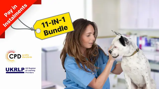 Diploma of Pet Care / VET Assistant (Online)