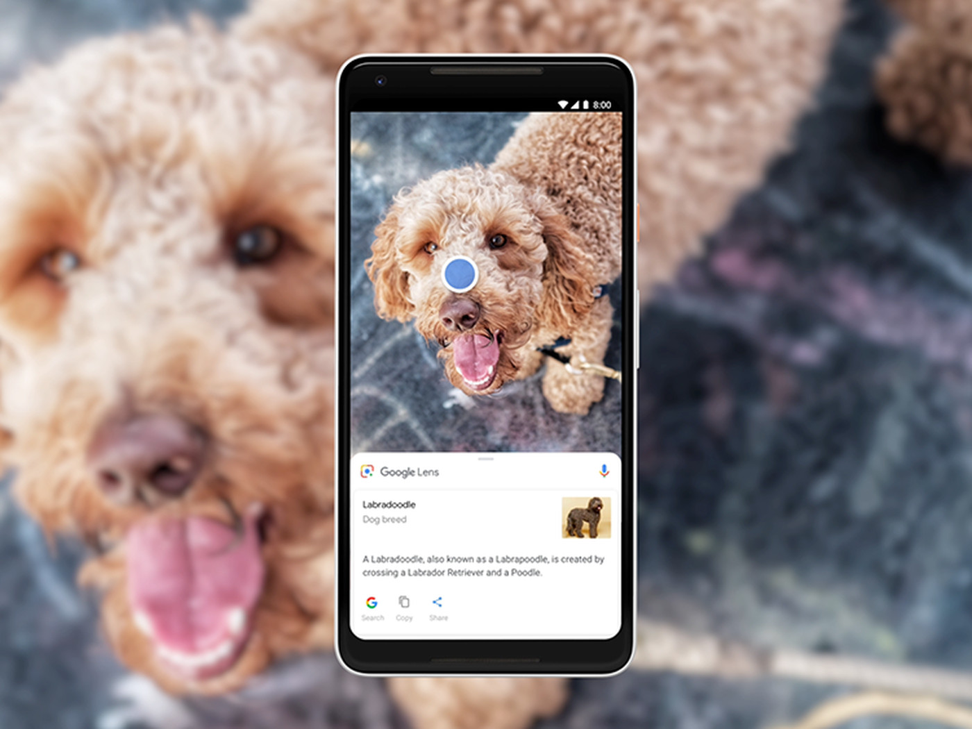 How Use Google Lens