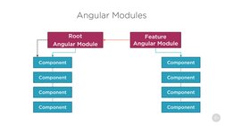 Component
Root
Angular Module
Component
Component
Component
Angular Modules
Feature
Angular Module
Component
Component
Compon
