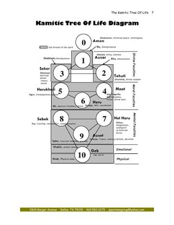 The Kamitic Tree Of Life
2834 Burger Avenue Dallas, TX 75215 469.583.3275 spearmangroup@yahoo.com
7