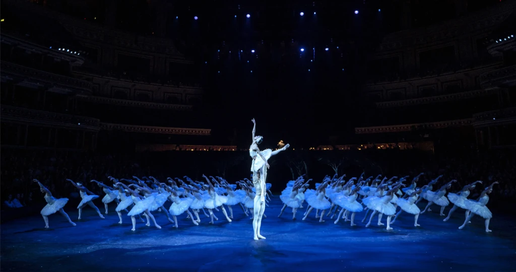 Ballet dancers dressed as swans.