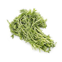 水菜