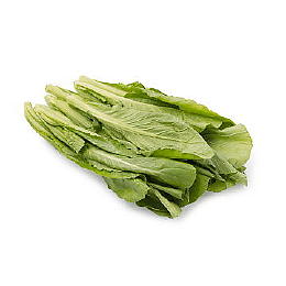 쑥갓