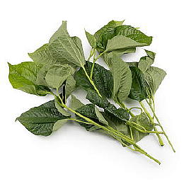 Mon An Việt Nam