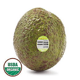 Avocado