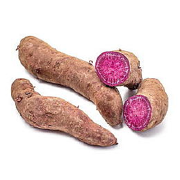 Sweet Potato