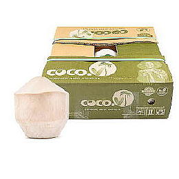 Thai Young Coconut