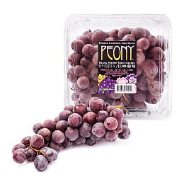 Who Sells Muscadine Grapes Near Me