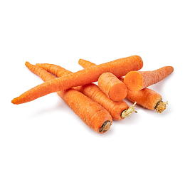 Carrot
