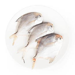 Pampano Fish