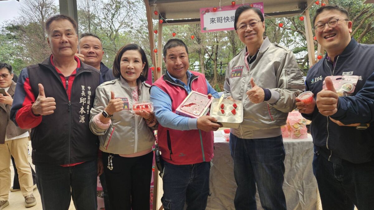 桃園草莓地圖涵蓋10行政區 張善政推廣食農教育肯定栽培用心 S 71368721 0