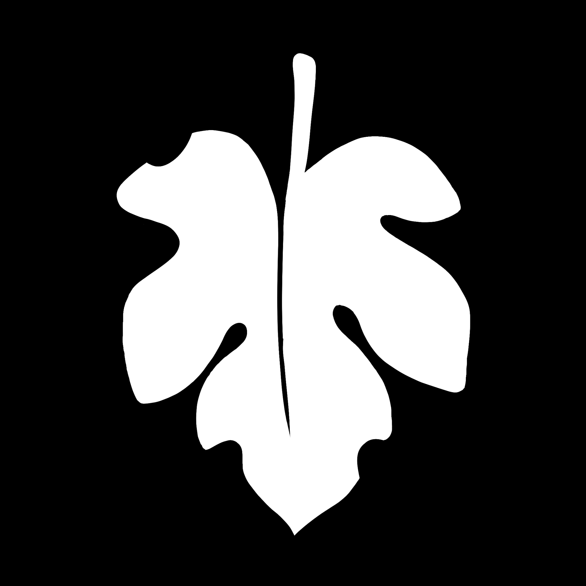 Alhifer's avatar