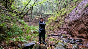 「正月のクマ」の存在が示す「みぢかな森」の今 昭和時代のツケとは 森の恵みを取り出すために必要なこと