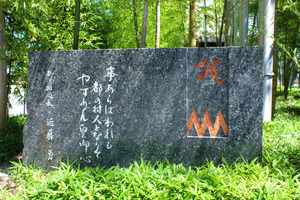 写真・図版