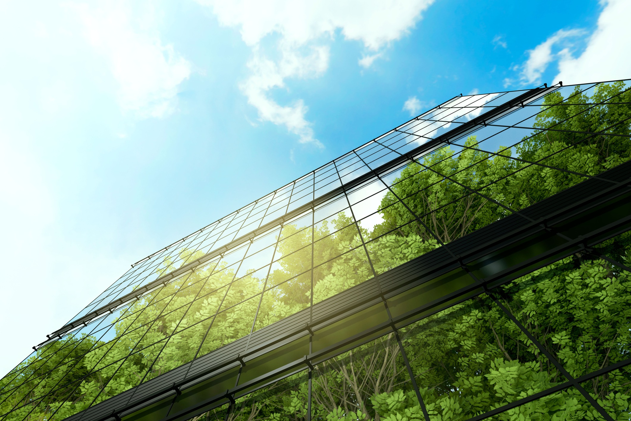 leading-sustainability-Banner-1