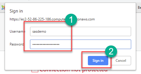 Download and Install SAS