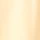 Gwen lace-trim slip skirt in luster charmeuse CANDLELIGHT