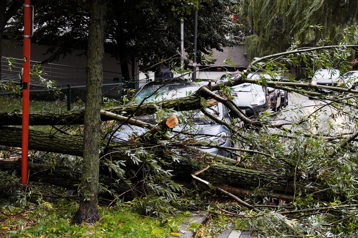 Tempête Austen à Bruxelles : les chutes font trois blessés dans le centre de Bruxelles et un autre à Woluwe