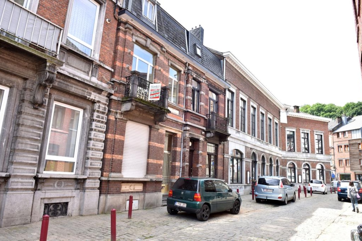 En 10 ans, 219 permis pour construire des logements à Dison ont été accordés.