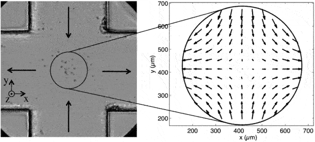 cross-slot microfluidic device