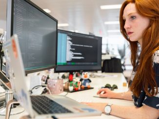 Software Tester