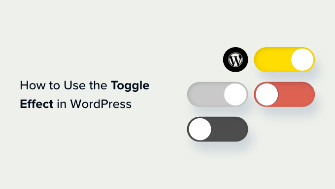 How to show and hide text in WordPress posts with the toggle effect How to show and hide text in WordPress posts with the toggle effect