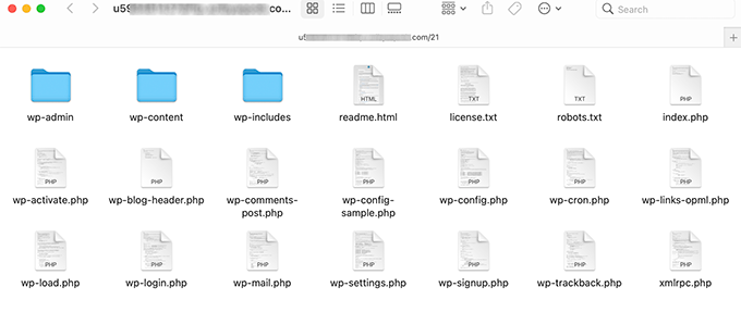 WordPress files and folders WordPress files and folders