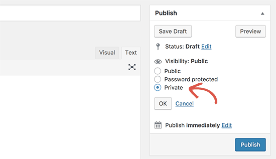 Private post option in WordPress post edit screen Private post option in WordPress post edit screen