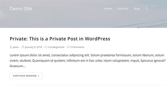 Private post preview in WordPress Private post preview in WordPress