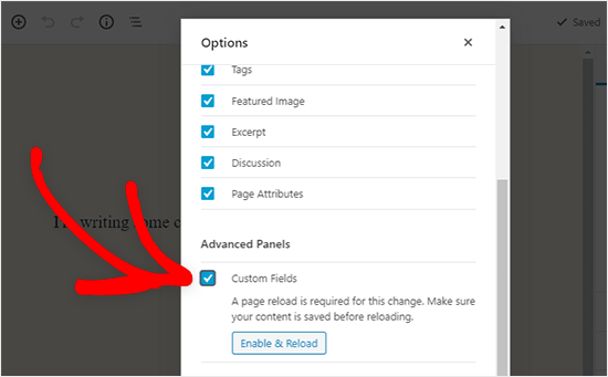 wordpress-show-custom-fields-in-post-editor display custom fields