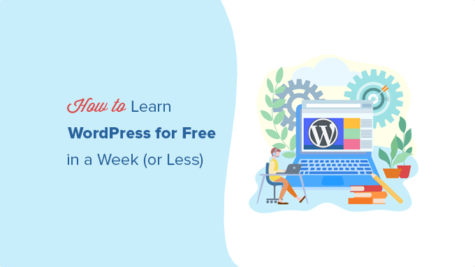 How to Learn WordPress Basics for Free How to Learn WordPress Basics for Free