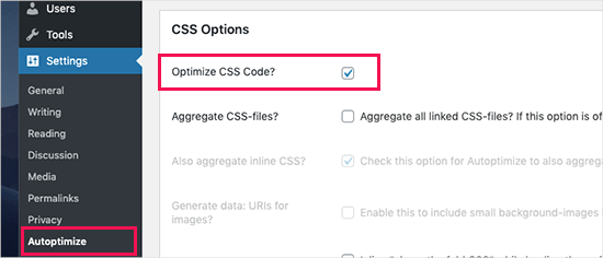 Optimize CSS in Autoptimize Optimize CSS in Autoptimize