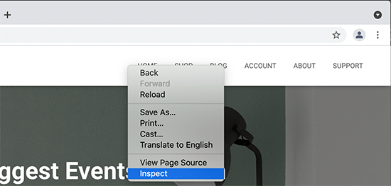 Inspect tool Inspect tool
