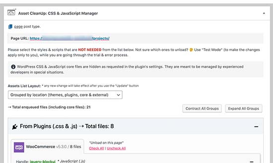 Asset Cleanup nell'editor dei post Asset Cleanup nell'editor dei post