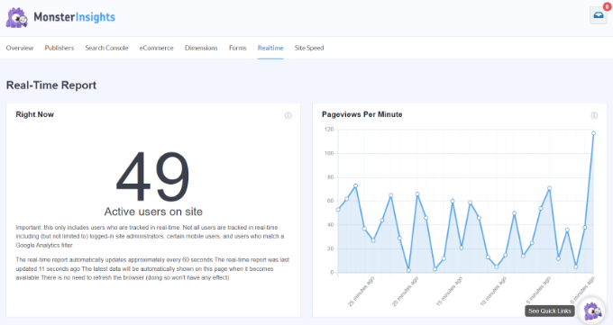 The MonsterInsights realtime reports The MonsterInsights realtime reports