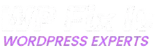 WordPress Experts