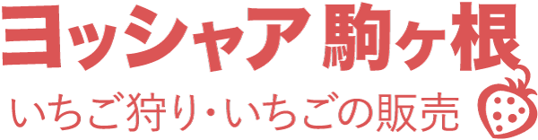 ヨッシャア駒ヶ根